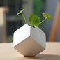 Creative Cube Nordic White Ceramic Vase